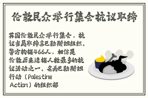 打扑克视频软件